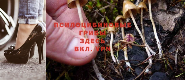 ГАЛЛЮЦИНОГЕННЫЕ ГРИБЫ Аркадак