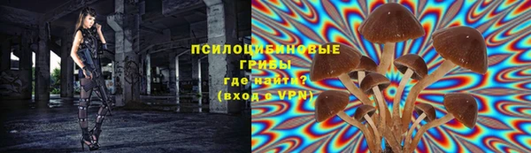 таблы Арсеньев