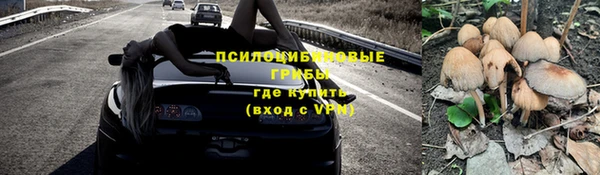 ГАЛЛЮЦИНОГЕННЫЕ ГРИБЫ Аркадак