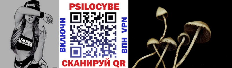Галлюциногенные грибы мухоморы mega вход Козьмодемьянск закладки